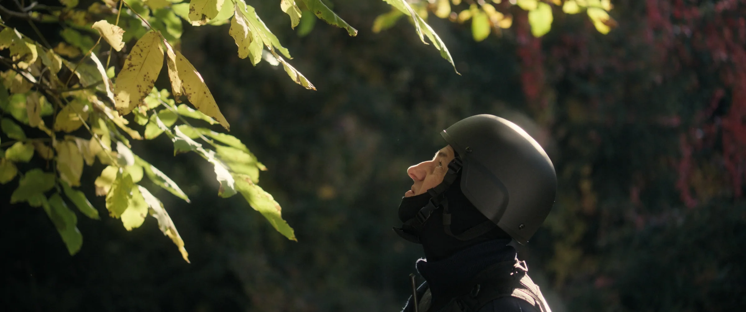 A cinematic frame from Pod Willą